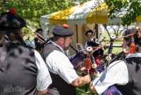 Highland Games - Livonia - 2015-47