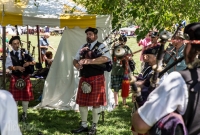 Highland Games - Livonia - 2015-48