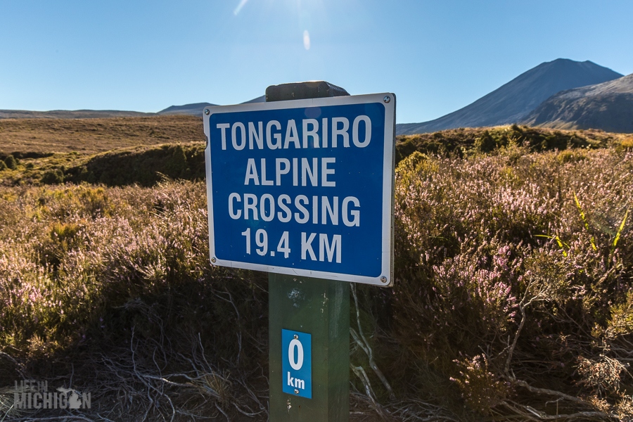 Hiking In New Zealand