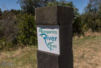 Hiking-New-Zealand-1