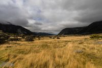 Hiking-New-Zealand-100