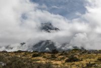 Hiking-New-Zealand-103