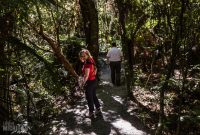 Hiking-New-Zealand-12