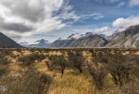 Hiking-New-Zealand-125