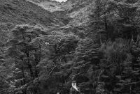 Hiking-New-Zealand-131
