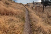 Hiking-New-Zealand-135