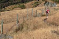 Hiking-New-Zealand-138
