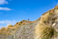 Hiking-New-Zealand-143