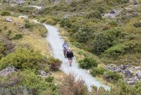 Hiking-New-Zealand-156