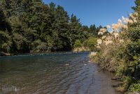 Hiking-New-Zealand-18