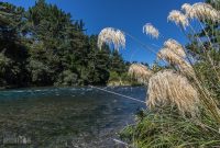 Hiking-New-Zealand-19
