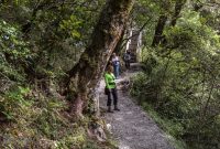 Hiking-New-Zealand-37