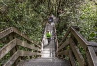Hiking-New-Zealand-38