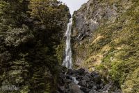 Hiking-New-Zealand-41
