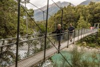 Hiking-New-Zealand-48