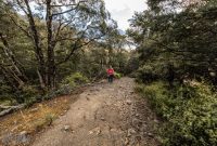 Hiking-New-Zealand-62