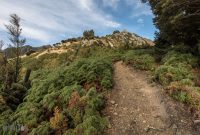 Hiking-New-Zealand-65