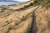 Hiking-New-Zealand-67