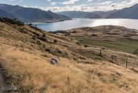 Hiking-New-Zealand-68