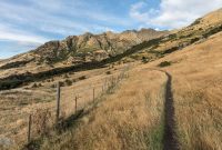 Hiking-New-Zealand-69