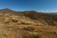 Hiking-New-Zealand-84