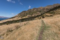 Hiking-New-Zealand-87