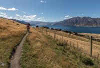 Hiking-New-Zealand-88