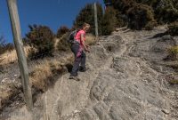 Hiking-New-Zealand-89
