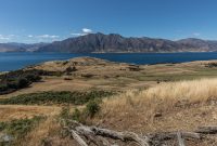 Hiking-New-Zealand-90