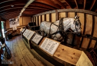 Historic White Pine Village-132