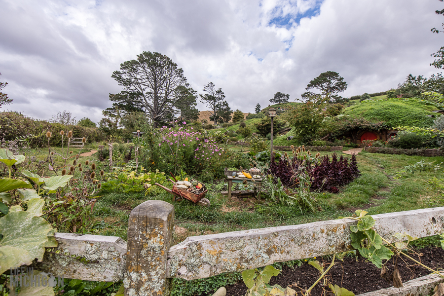 Hobbiton Movie Set - New Zealand - Life In Michigan