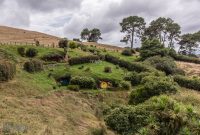 Hobbiton-New-Zealand-16