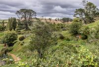 Hobbiton-New-Zealand-17