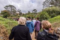 Hobbiton-New-Zealand-2