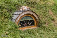 Hobbiton-New-Zealand-3