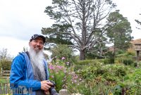 Hobbiton-New-Zealand-48