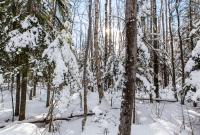 Hogback Mtn Marquette - U.P. Winter - 2014 -2