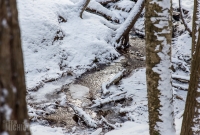 Hogback Mtn Marquette - U.P. Winter - 2014 -6
