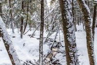 Hogback Mtn Marquette - U.P. Winter - 2014 -7