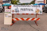 Humongous-Fungus-Festival-Crystal-Falls-2023-48