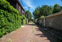 Indian Village - Home Tour - Detroit - 2015-35