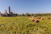 Ireland-Dingle-2025-117