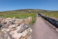 Ireland-Dingle-2025-78