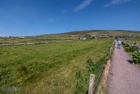 Ireland-Dingle-2025-79