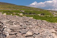 Ireland-Dingle-2025-86