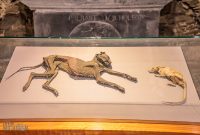 Ireland-Dublin-2025-166