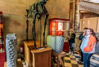 Ireland-Dublin-2025-88