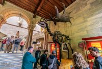 Ireland-Dublin-2025-89