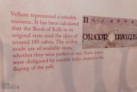 Ireland-Dublin-2025-96