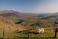 Ireland-Galway-2025-1